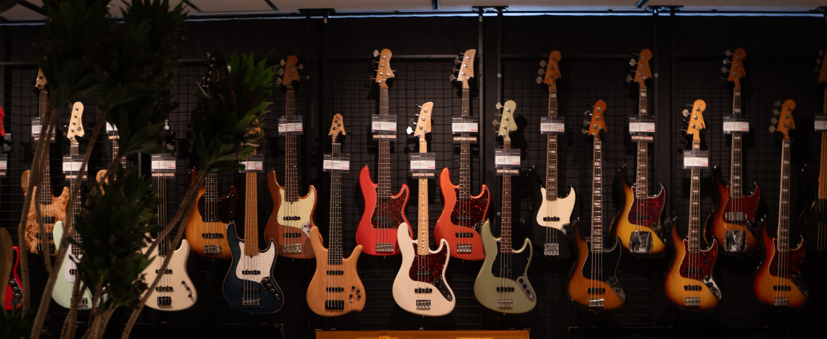 Bass Guitars