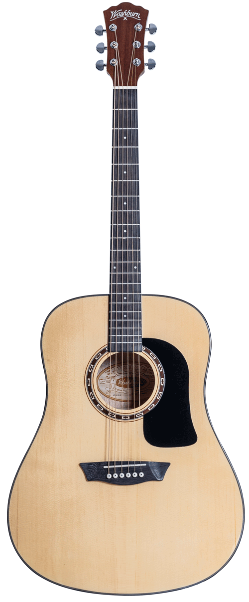 Washburn Apprentice Dread W/Case Acoustic Guitar