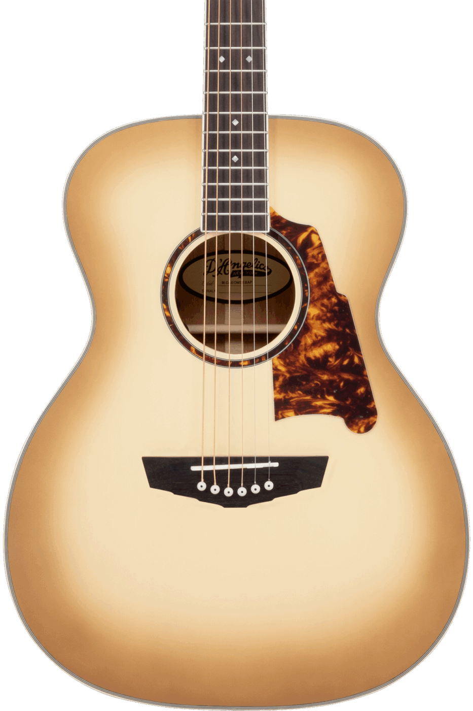 D'Angelico Excel Tammany Acoustic/Electric Guitar