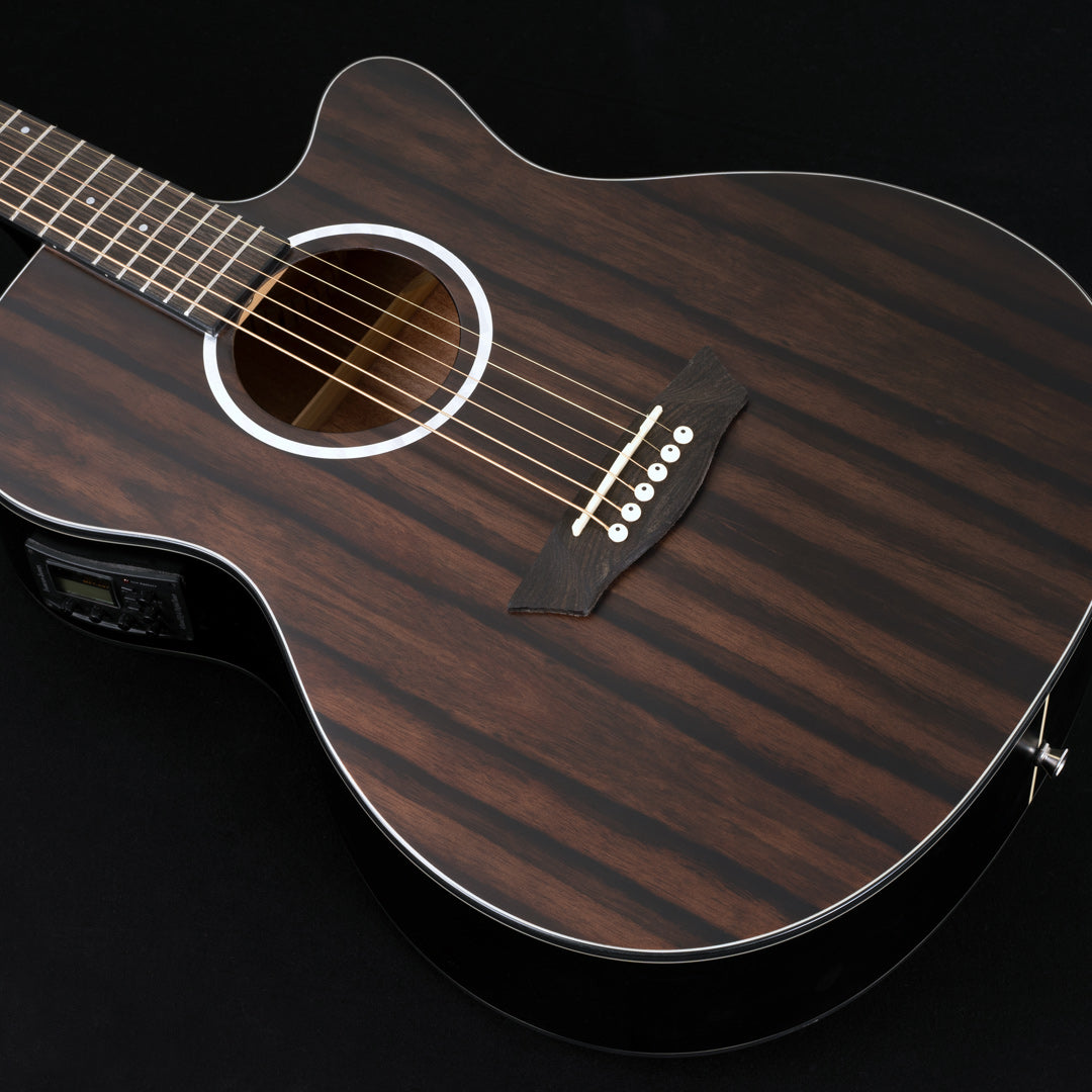 Washburn DFEACE-A-U Deep Forest Ebony Ace Acoustic Guitar