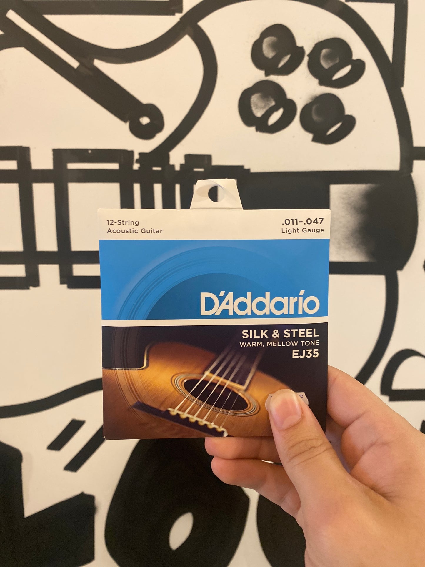 D'Addario EJ35 - Silk & Steel 12-String Silverplated Wound