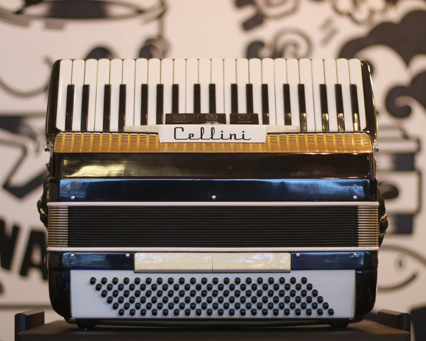 Cellini Piano Accordion – 41-Key / 120-Bass | Classic Black & White Finish with Hard Case