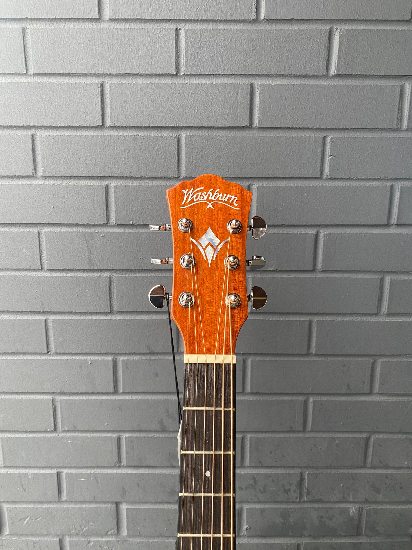 Washburn Apprentice 5 Acoustic Folk Guitar - Hardshell Case Included