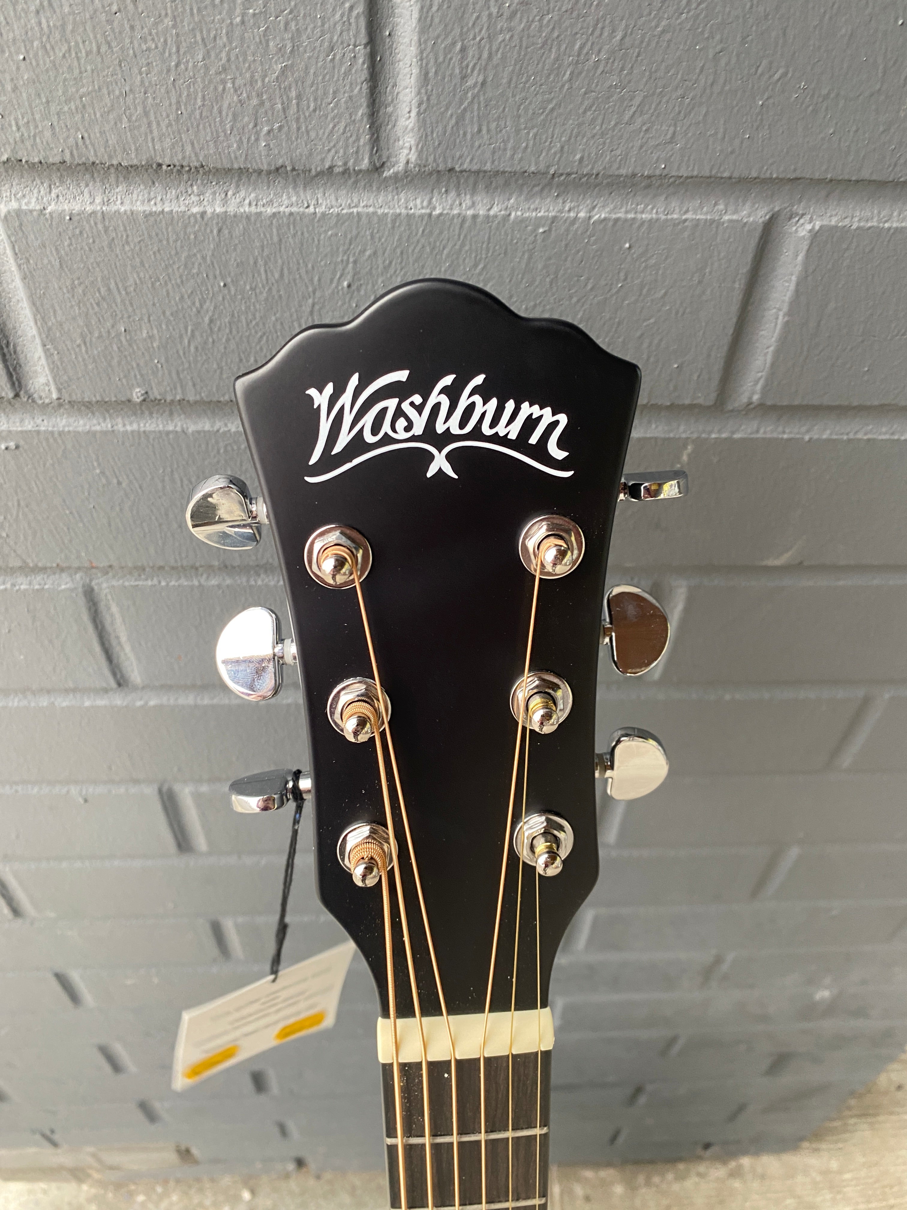 Washburn Deep Forest Ebony Ace Acoustic Guitar