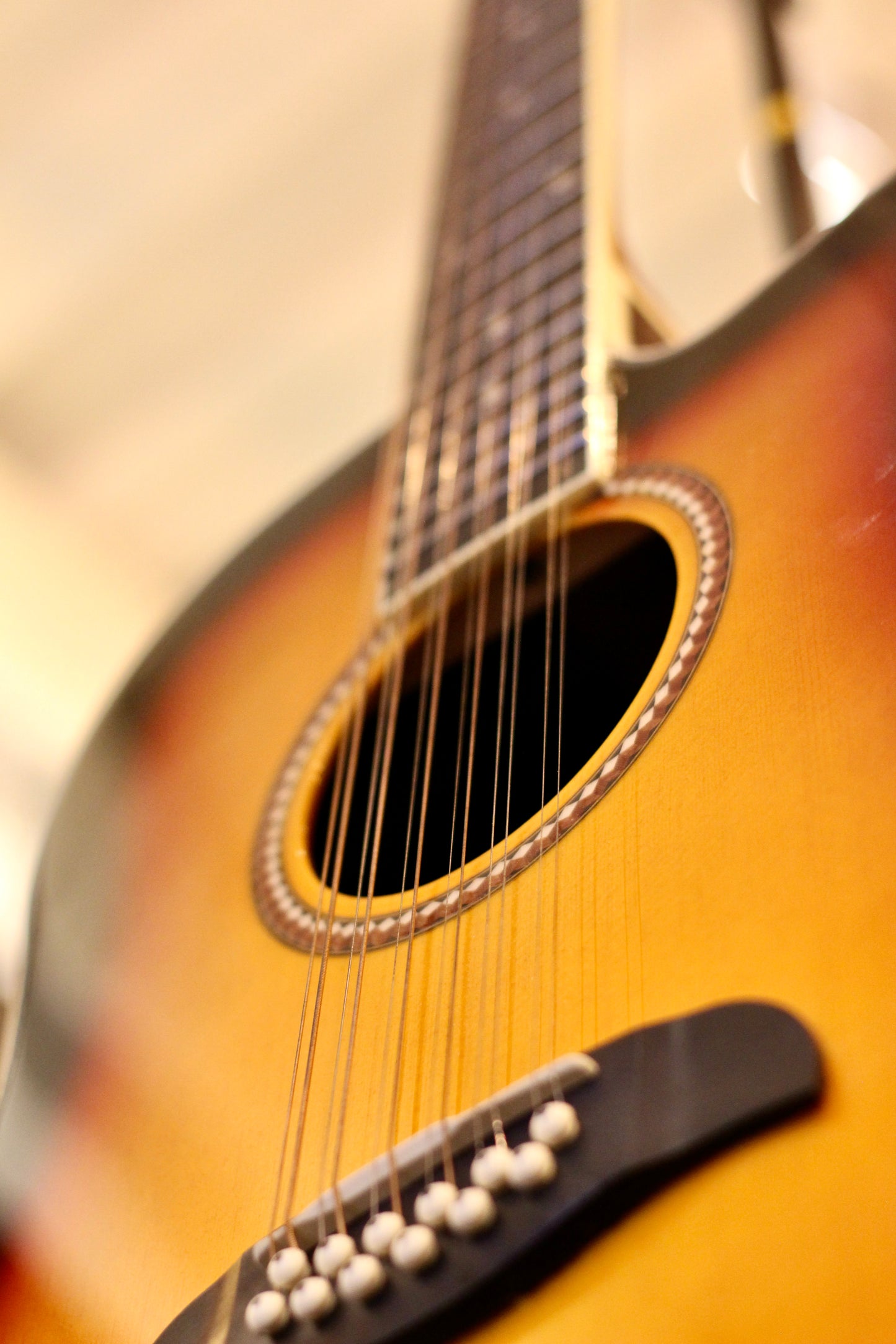 Oscar Schmidt 12-String Acoustic Guitar