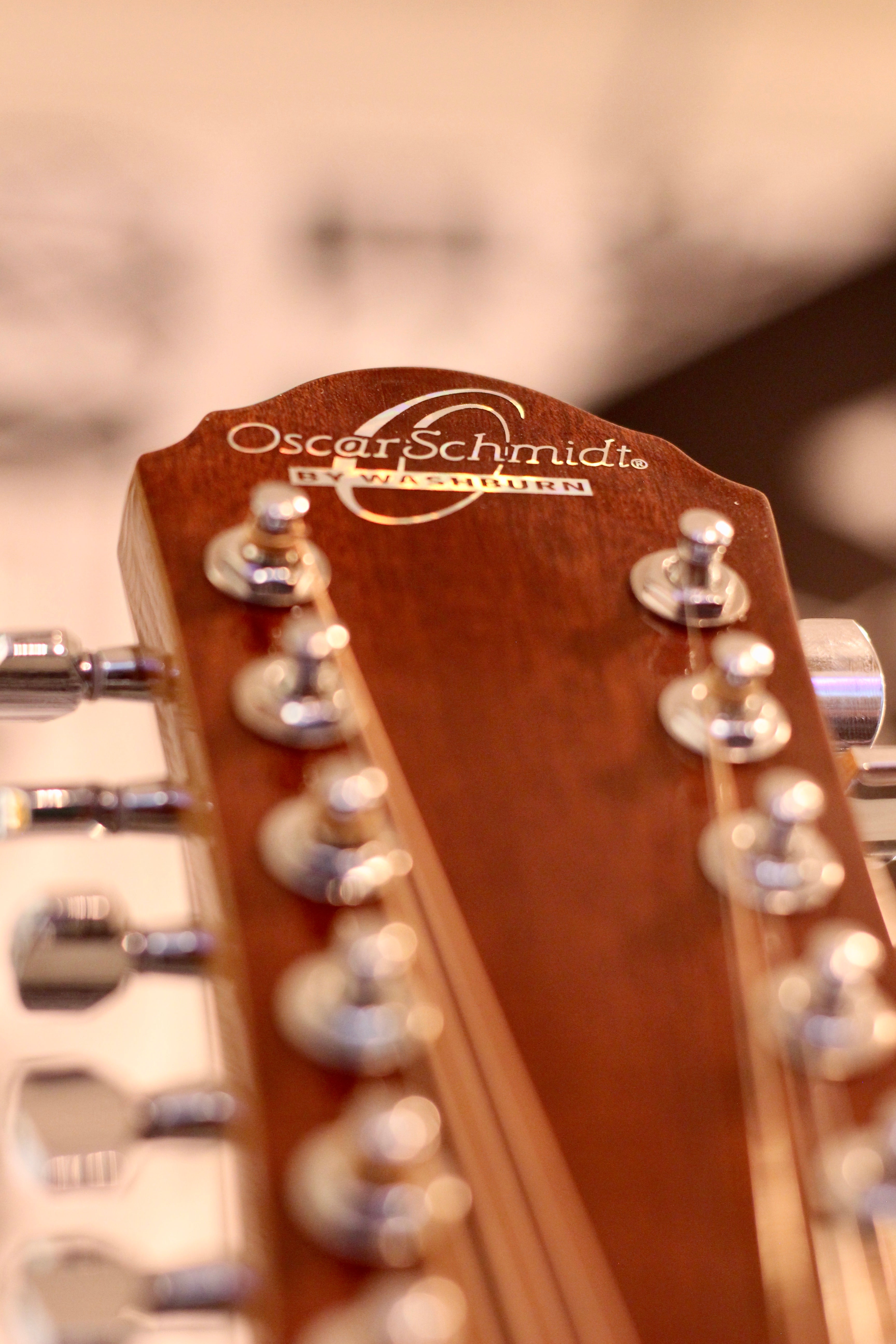 Oscar Schmidt 12-String Acoustic Guitar