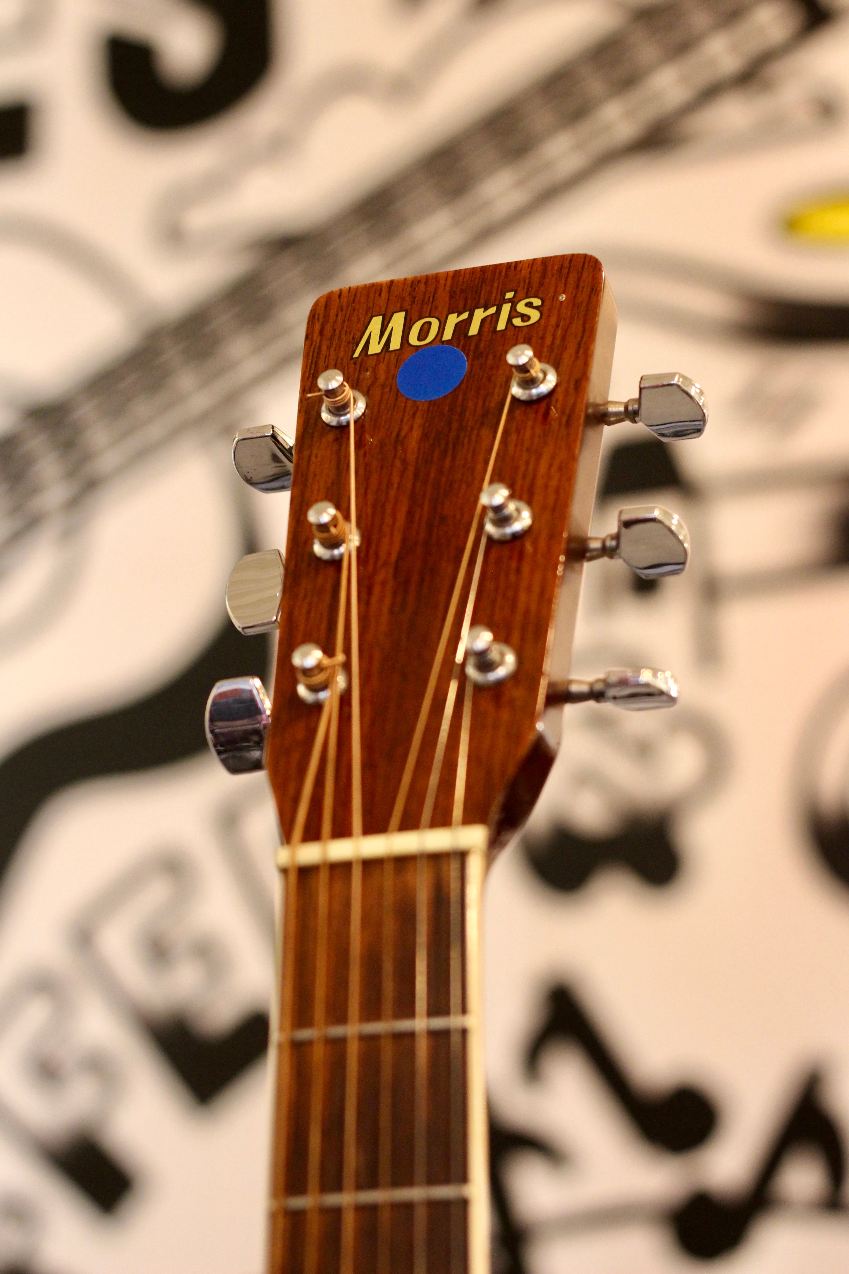 Morris MD-506 Acoustic Guitar