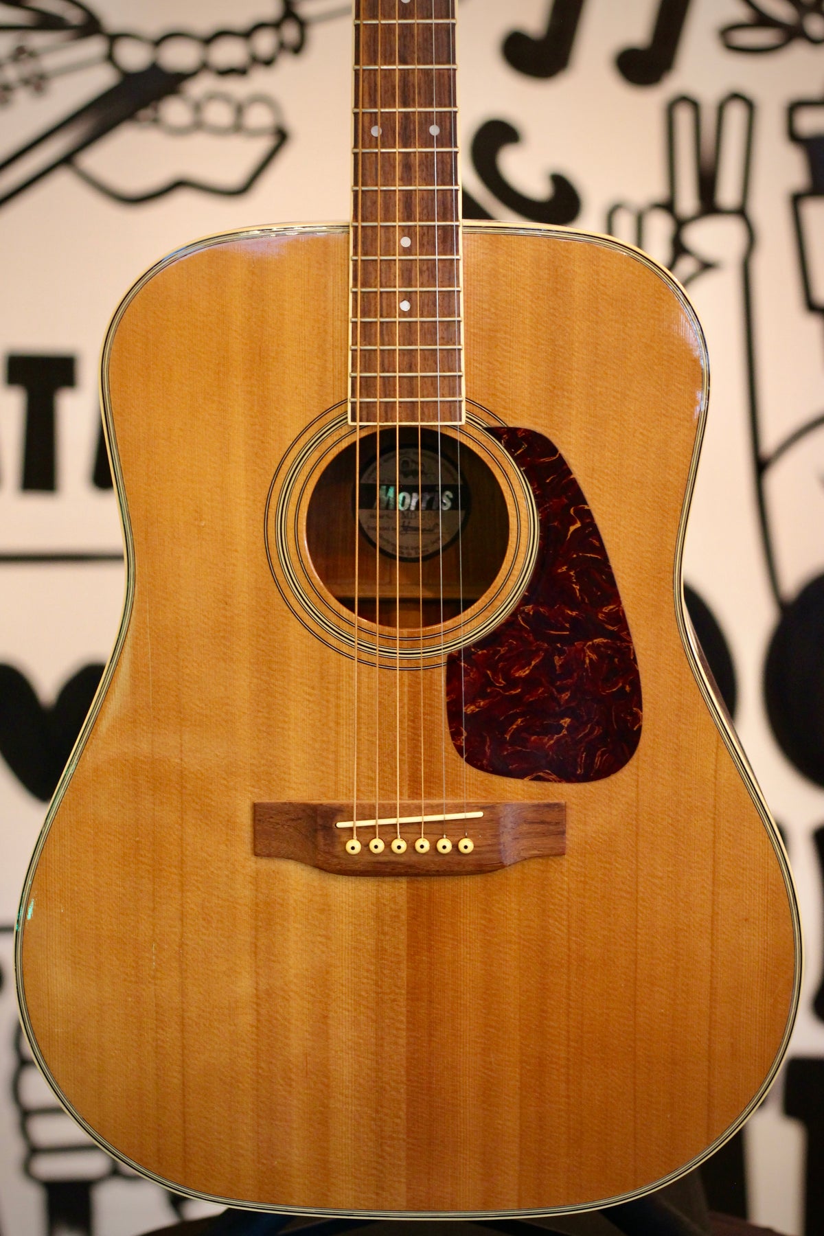 Morris MD-506 Acoustic Guitar