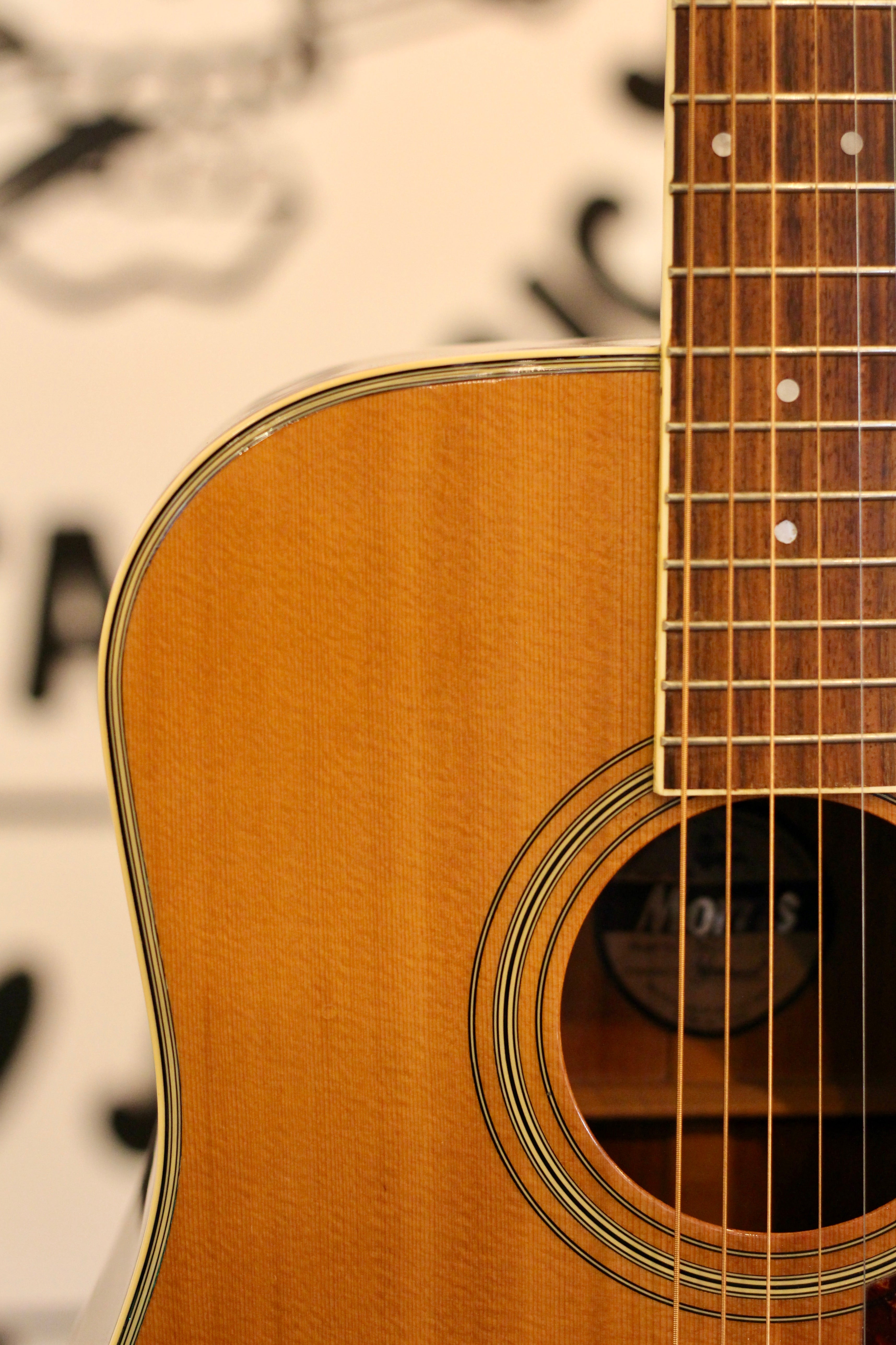 Morris MD-506 Acoustic Guitar