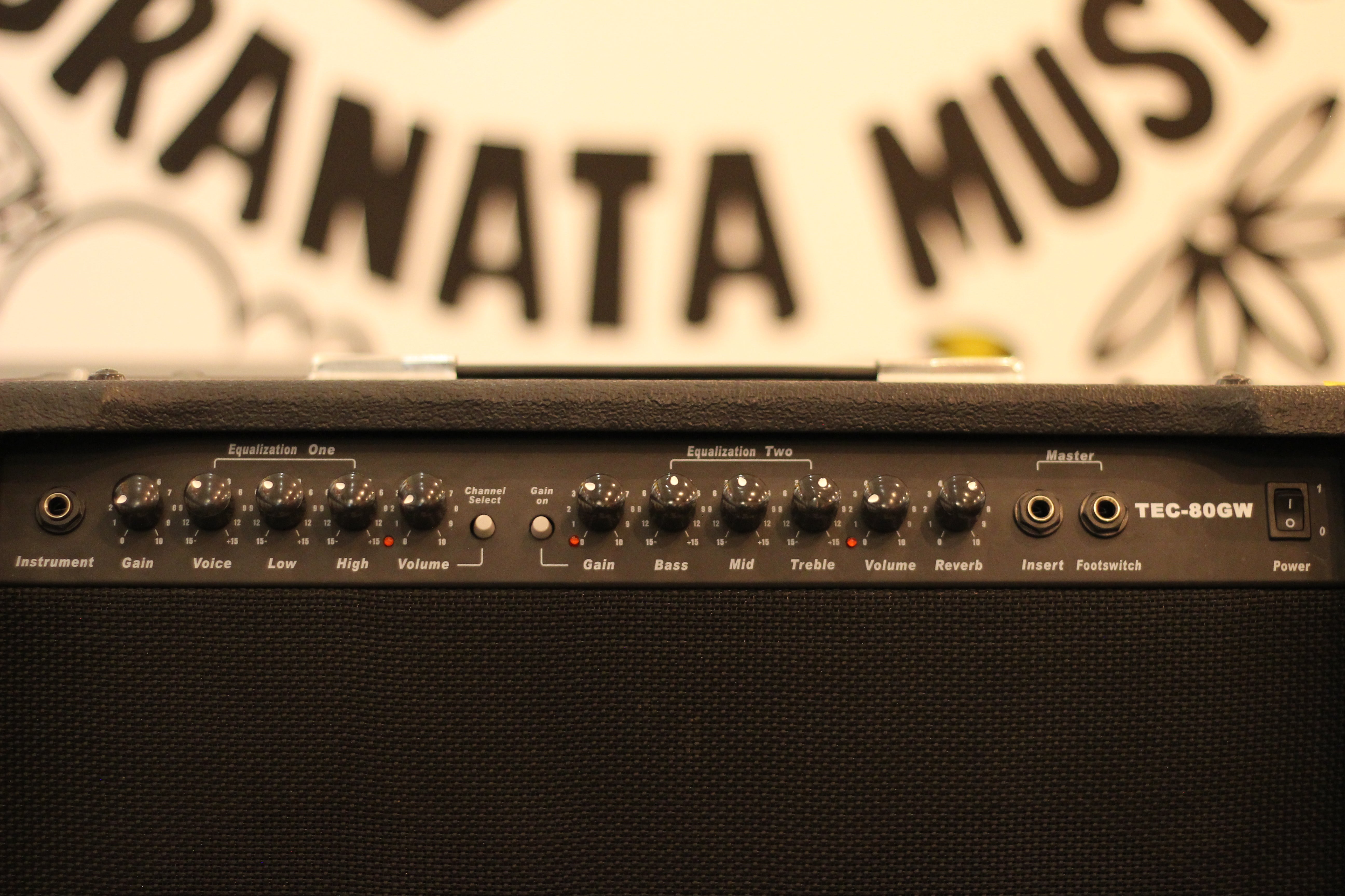 TEC-80GW 80-Watt 2Γ8" Electric Guitar Combo Amplifier