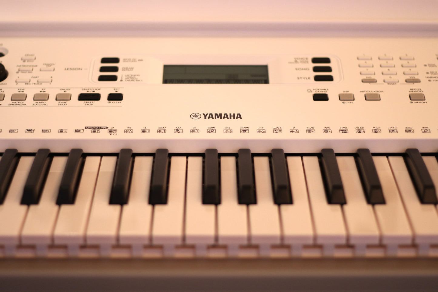 Yamaha EZ-300 Portable Keyboard