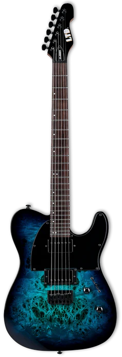 ESP TE-200DX Electric Guitar - Blue Burst