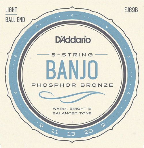 D'Addario EJ69 - Phosphor Bronze 5-String Banjo Set Light