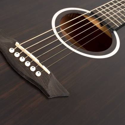 Washburn Deep Forest Ebony Dreadnought Acoustic Guitar