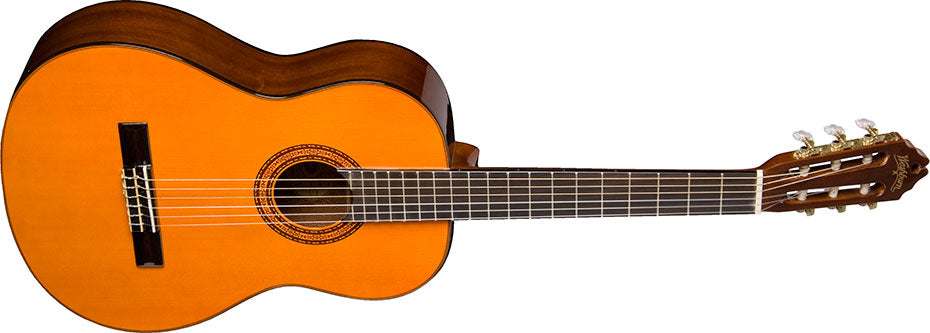 Washburn C5 and C5CE