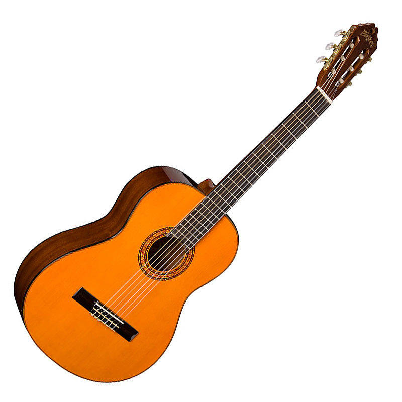 Washburn C5 and C5CE