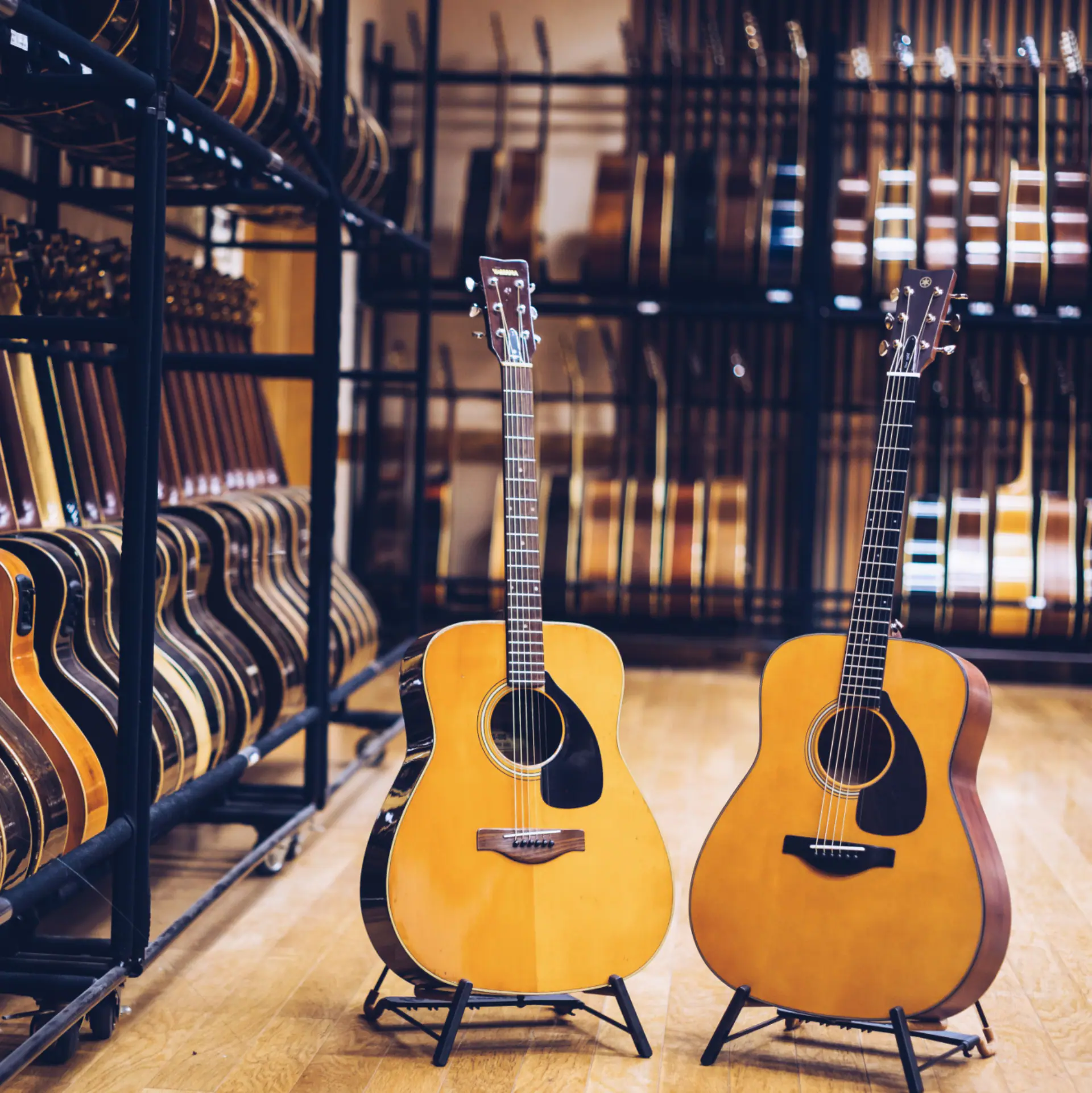 Acoustic Guitars