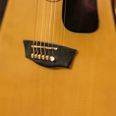 Washburn Apprentice Dread W/Case Acoustic Guitar