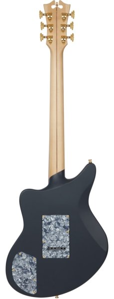 D'Angelico Deluxe Bob Weir Bedford Signature Electric Guitar - Matte Stone