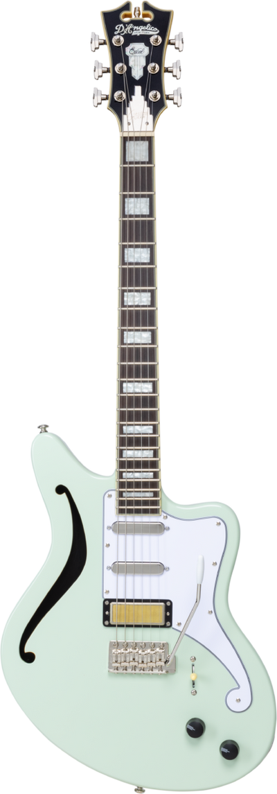 D'Angelico Excel Giacomo Turra Bedford SH
