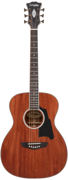 D'Angelico Excel Tammany Acoustic/Electric Guitar