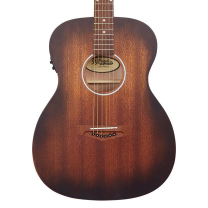 D'Angelico Premier Tammany LS