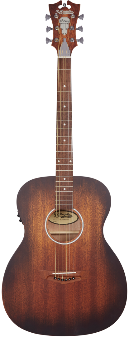 D'Angelico Premier Tammany LS