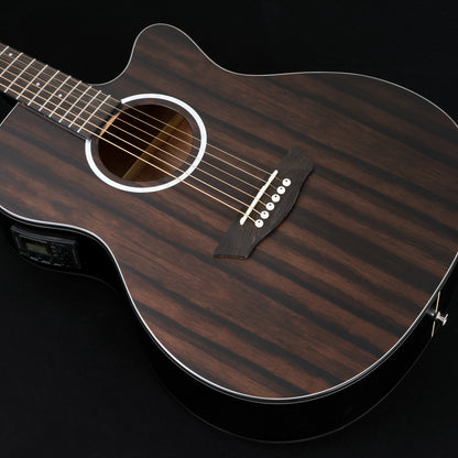 Washburn DFEACE-A-U Deep Forest Ebony Ace Acoustic Guitar