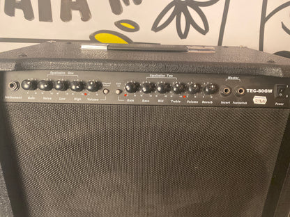 TEC-80GW 80-Watt 2×8" Electric Guitar Combo Amplifier