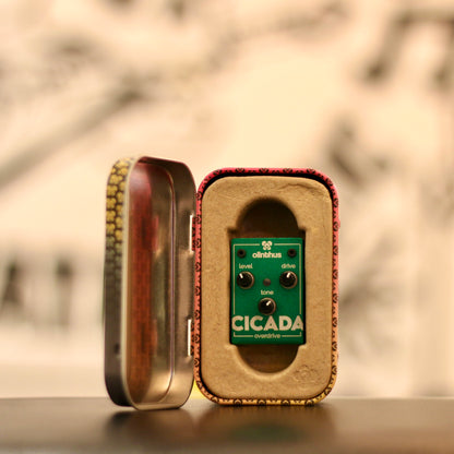 Olinthus Cicada Overdrive Pedal