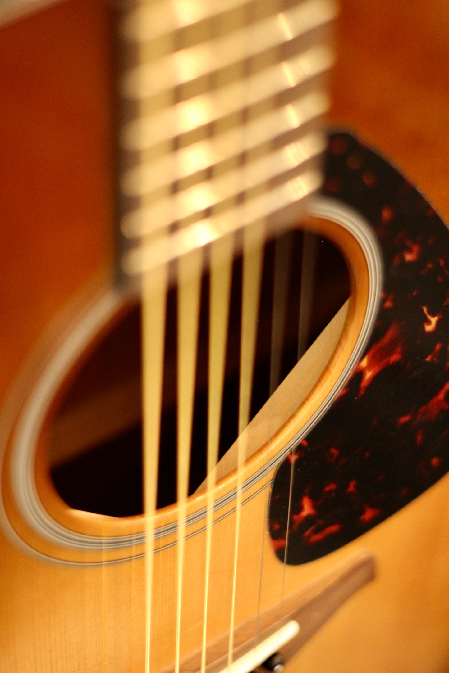Yamaha FG800 Folk Acoustic Guitar
