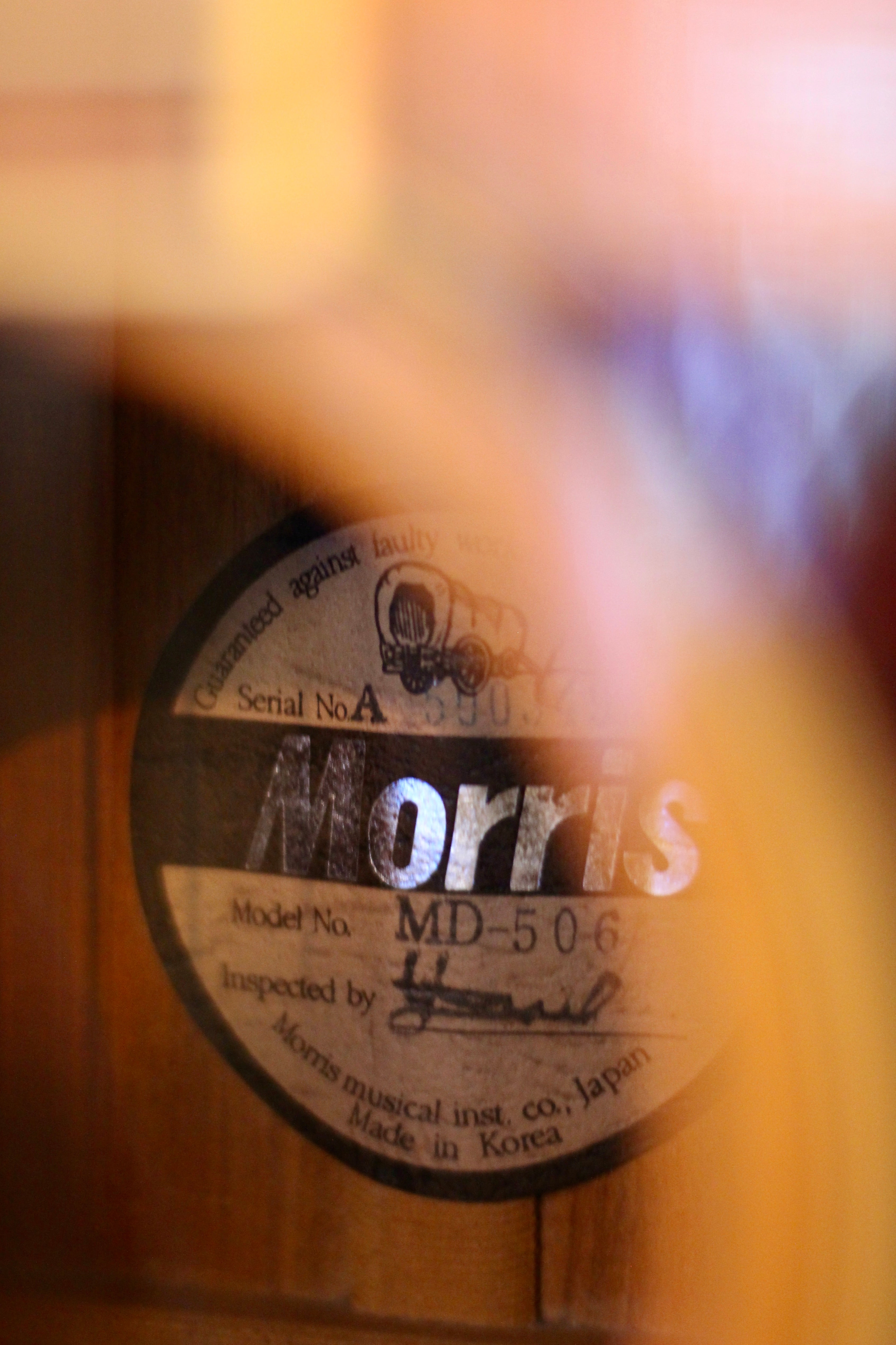 Morris MD-506 Acoustic Guitar – Granata Music Ltd
