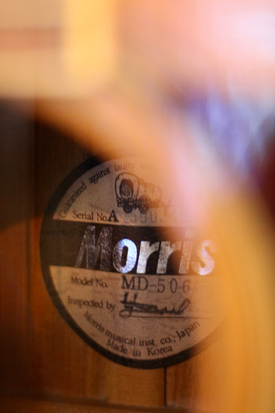 Morris MD-506 Acoustic Guitar
