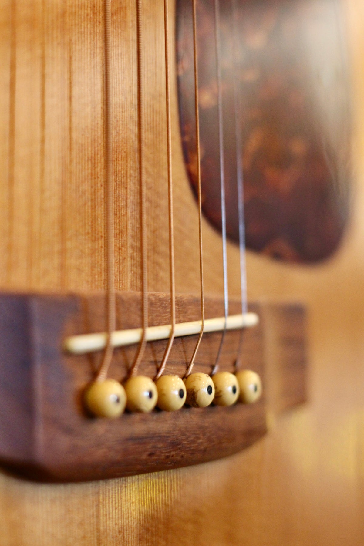 Morris MD-506 Acoustic Guitar