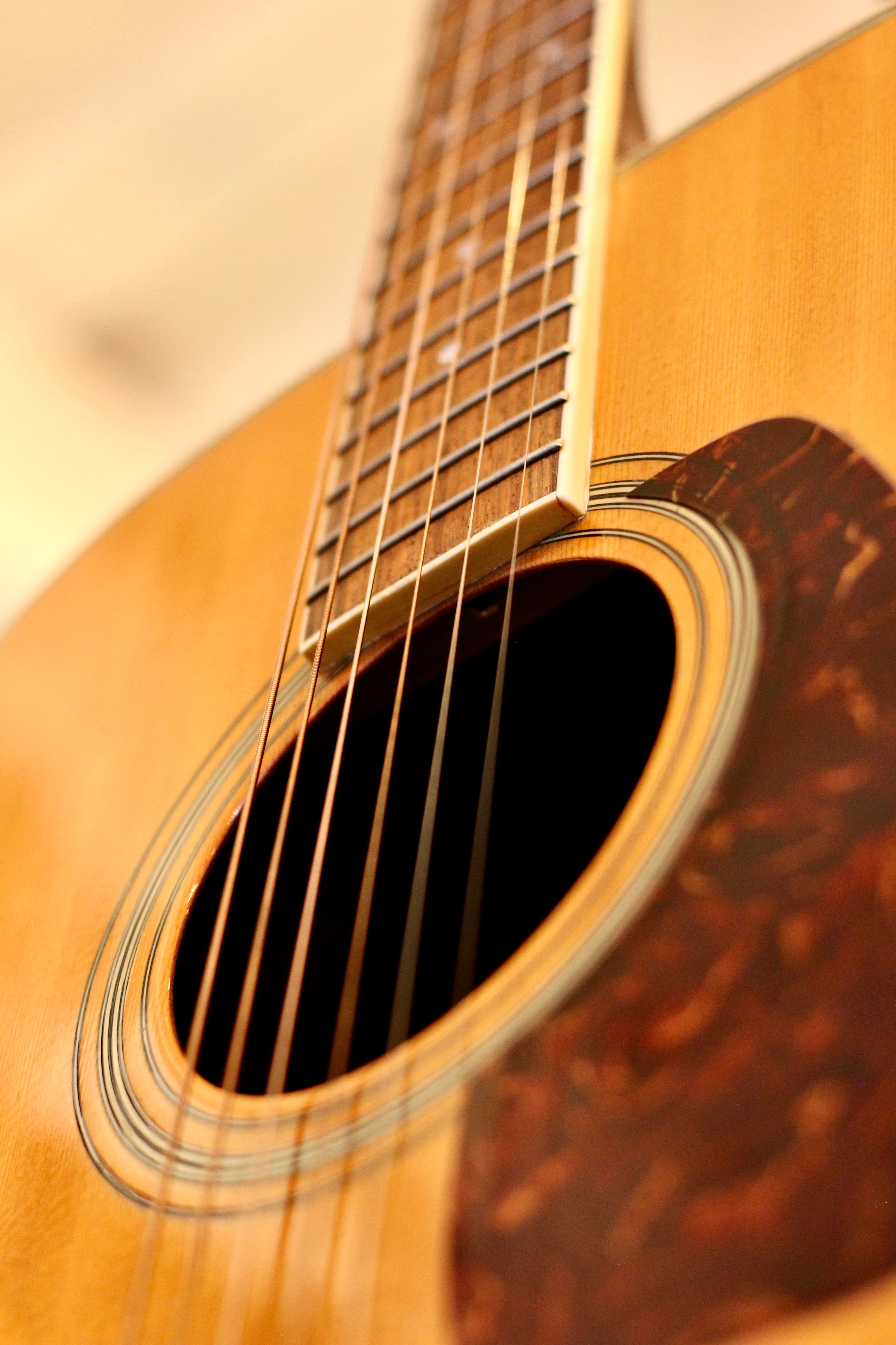 Morris MD-506 Acoustic Guitar