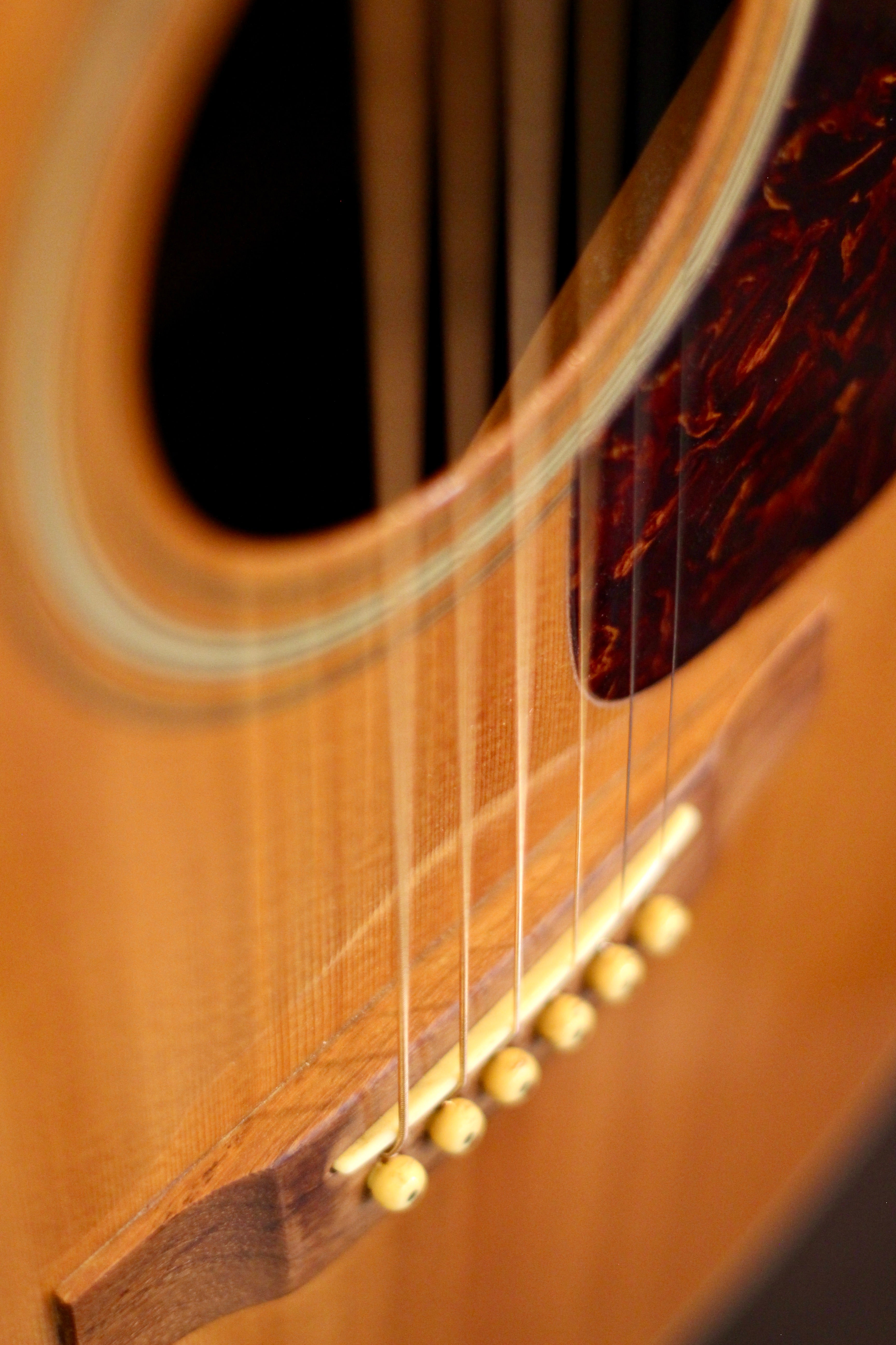 Morris MD-506 Acoustic Guitar