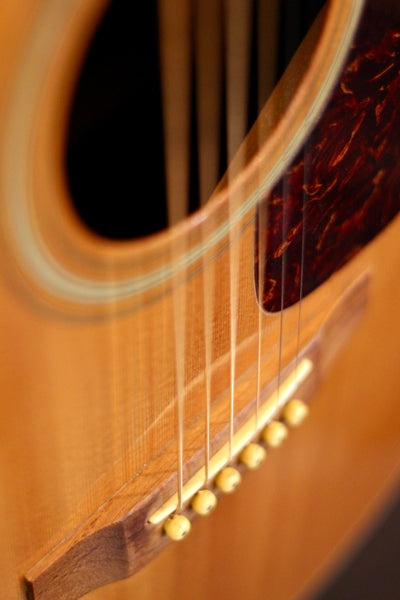 Morris MD-506 Acoustic Guitar