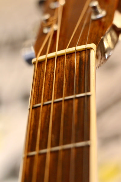 Morris MD-506 Acoustic Guitar