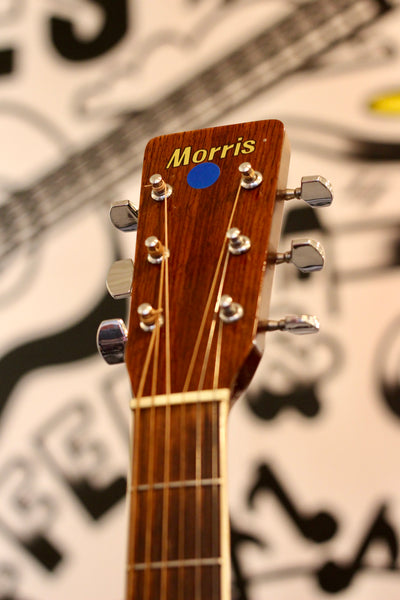 Morris MD-506 Acoustic Guitar