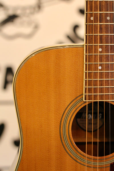 Morris MD-506 Acoustic Guitar