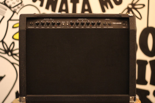 TEC-80GW 80-Watt 2×8" Electric Guitar Combo Amplifier