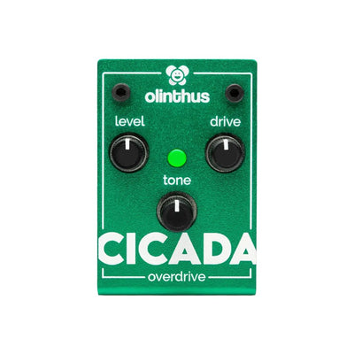 Olinthus Cicada Overdrive Pedal