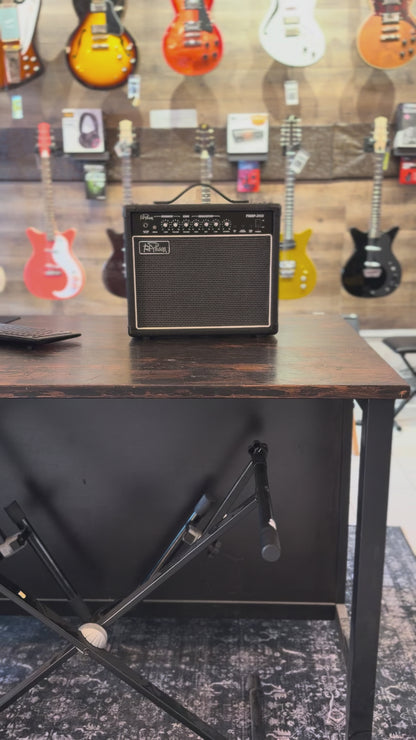 Typhoon 20W Guitar Amp TYAMP-20GR