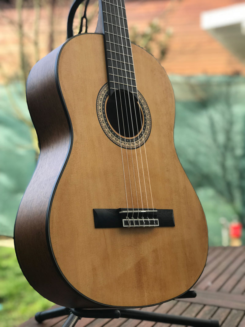 Washburn C40-A