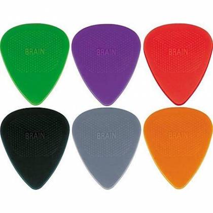 Cat's Tongue Variety 12 Pack