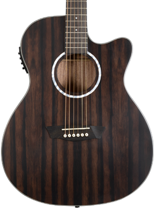 Washburn Deep Forest Ebony Folk Acoustic Electric Guitar - Striped Ebony
