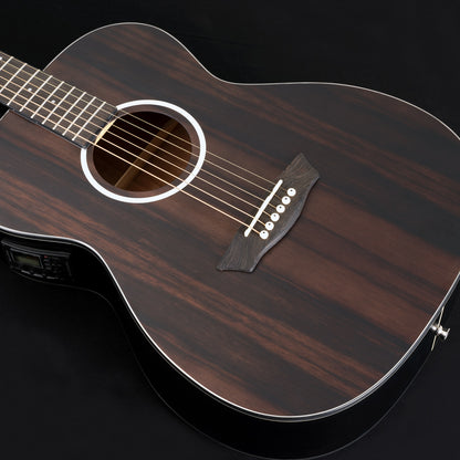 Washburn Deep Forest Ebony Folk Acoustic Electric Guitar - Striped Ebony