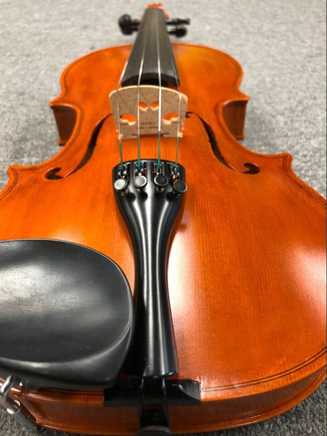 Full sized violin