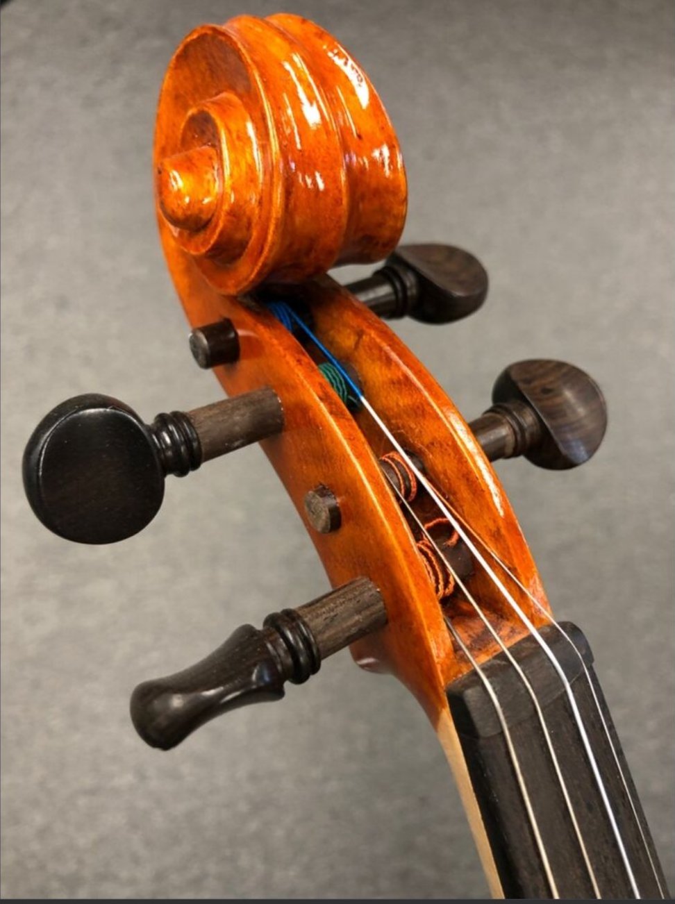 Full sized violin