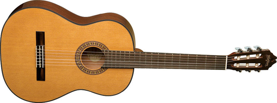 Washburn C40-A